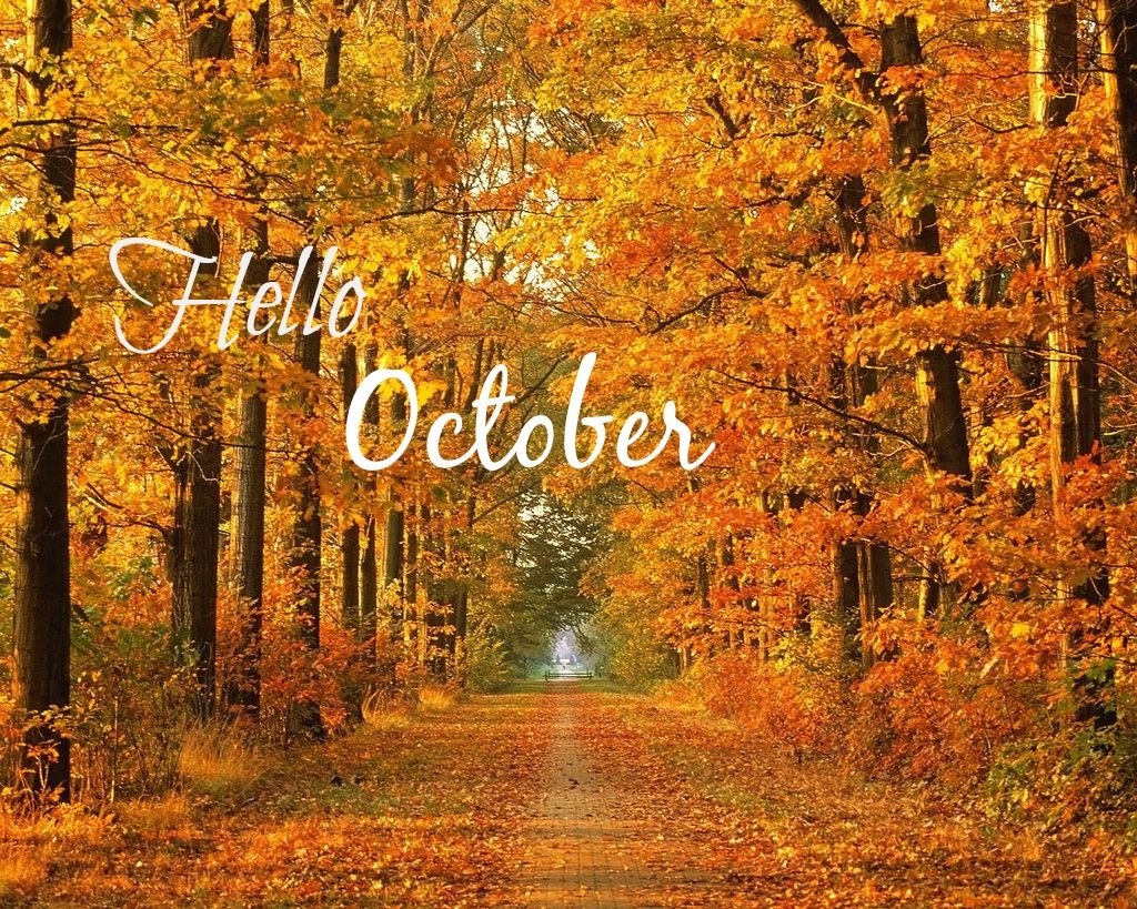 Hello October Pictures Photos And Images For Facebook Tumblr 