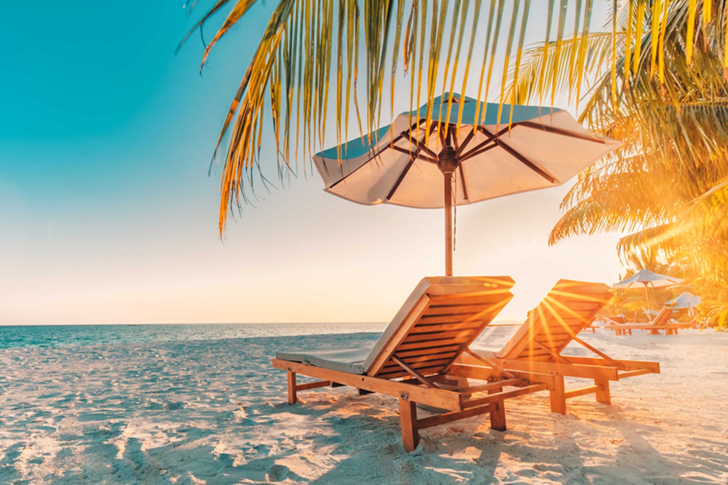 The Beauty Of The Summer Months Thrive Global